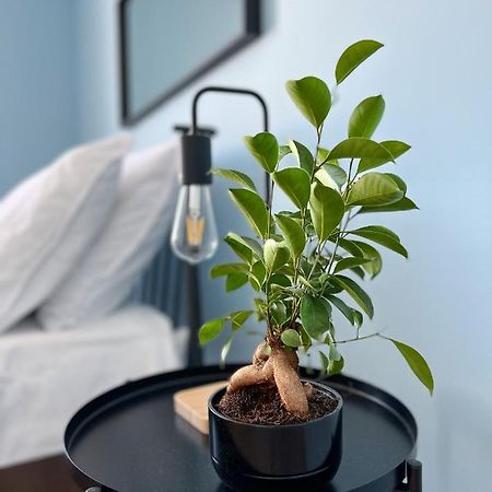 Apartamenty Rynek 7 Cieszyn  Eksteriør bilde